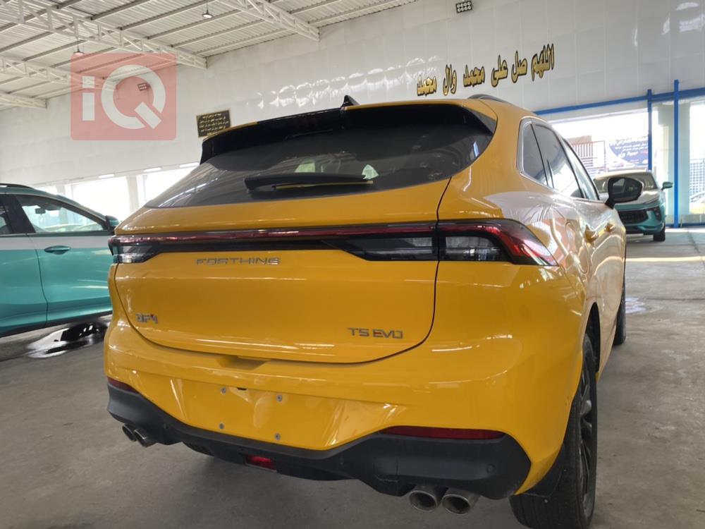 دونج فينج T5 EVO